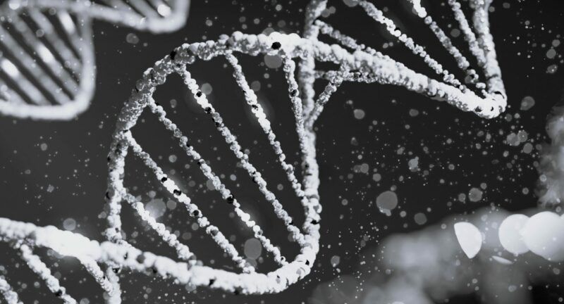 Czy istnieją genetyczne predyspozycje do uzależnień? Zrozumienie biologicznychmechanizmów